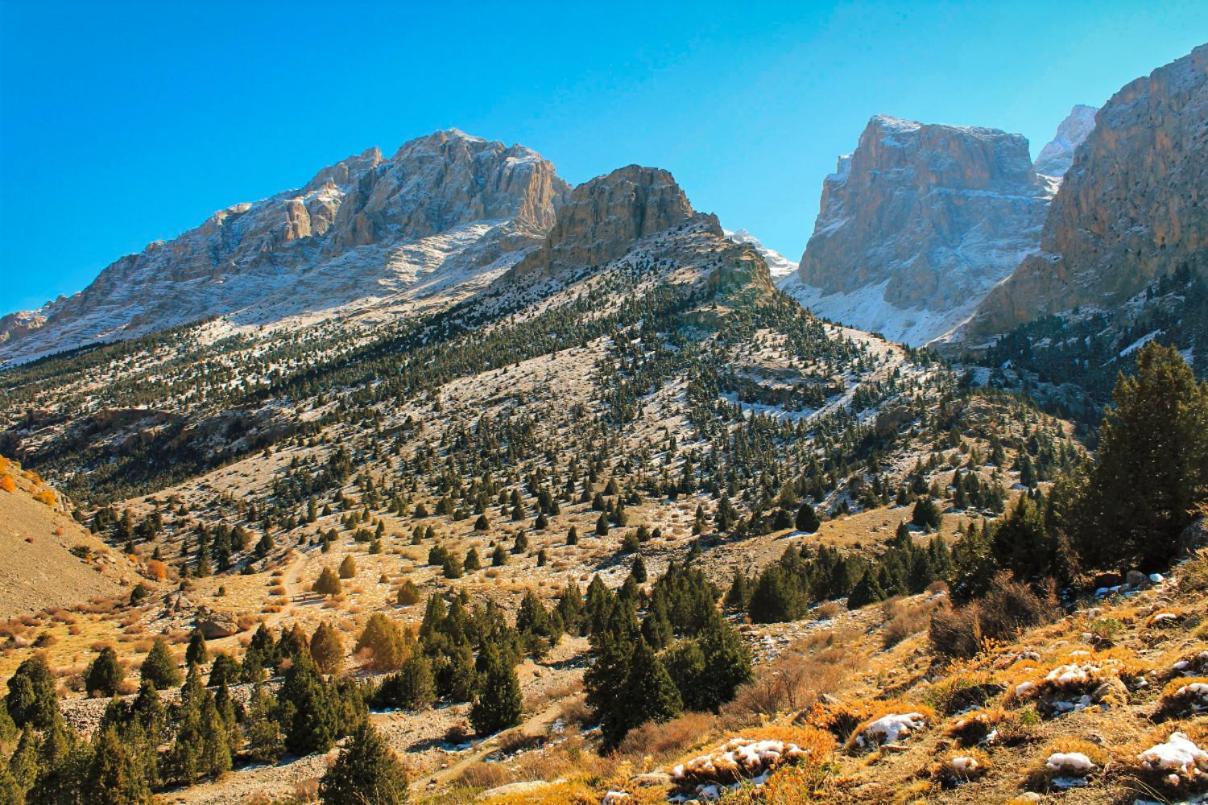 Aladaglar Mountain Hostel Cukurbag  Екстериор снимка
