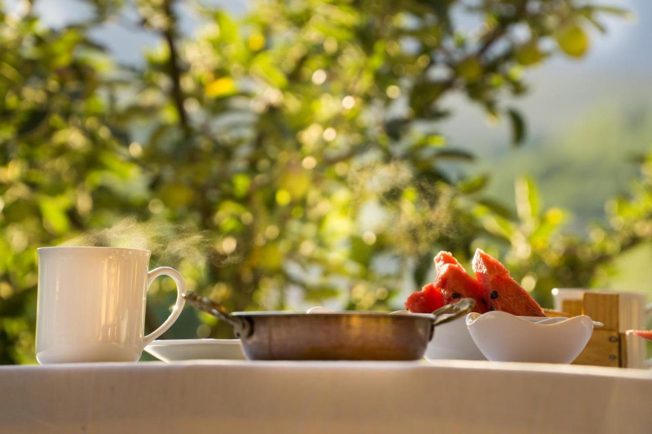 Aladaglar Mountain Hostel Cukurbag  Екстериор снимка